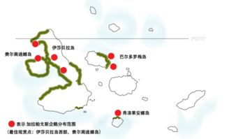 奇蛋生物水岛布局攻略：揭秘水岛布局技巧