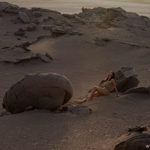 沙丘觉醒：任务“等待联络”高效完成攻略