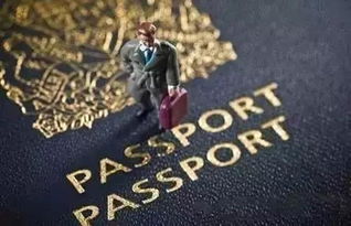 无期迷途雷温技能揭秘：深度解析！