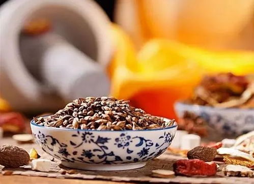 剑星大麦谷物茶攻略：快速获取大麦茶秘籍