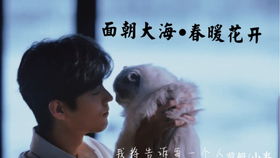 原神妙香林阿嘟寻踪记：周游壶灵位置揭秘