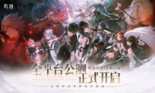 《鸣潮炽霞：揭秘游戏中的神秘职业》