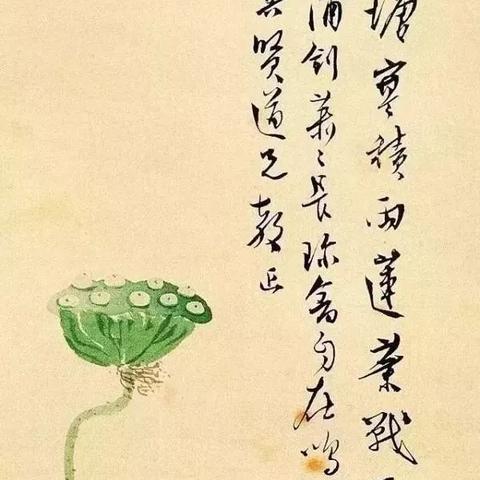 鸣潮秋水角色深度解析：揭秘游戏中的神秘英雄