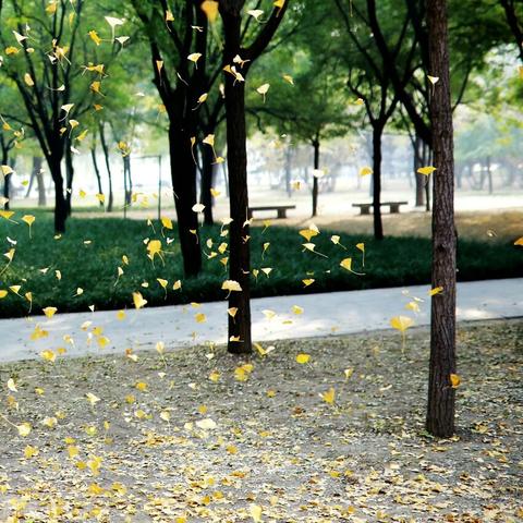 晴空之下装备套装攻略：最佳搭配推荐