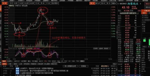 星痕共鸣天赋点速获攻略，独家获取方法大揭秘
