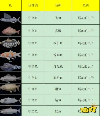 剑星钓鱼数据速成攻略：高效获取方法揭秘