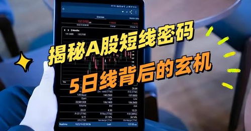 剑星D加密揭秘：揭秘D加密背后的秘密