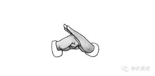 《渊虚之羽抱拳秘籍：轻松解锁独特动作》