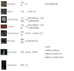 SCUM必备物品代码一览：快速识别常用道具
