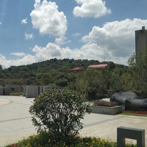 《明末渊虚之羽云顶城吊桥放下攻略：两招轻松解锁》