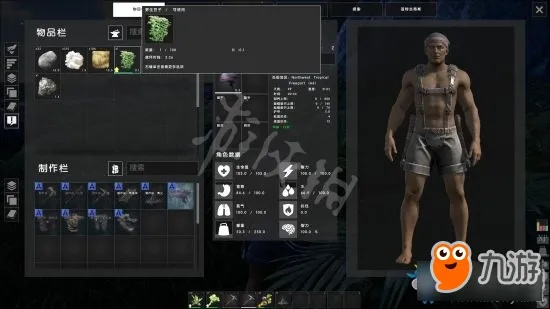 SCUM生存指南：高效维生素补充秘籍