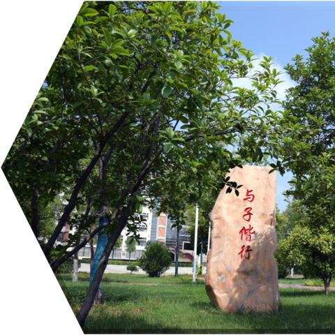 《王于兴师新机制揭秘：探索神秘地形设施》