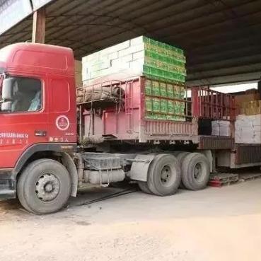 《美女助力，轻松解锁成仙秘籍！》