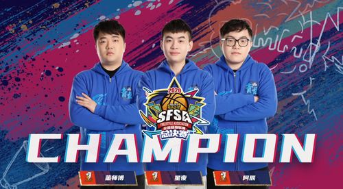 《街头篮球》失误控制技巧：SF高效追帽攻略揭秘