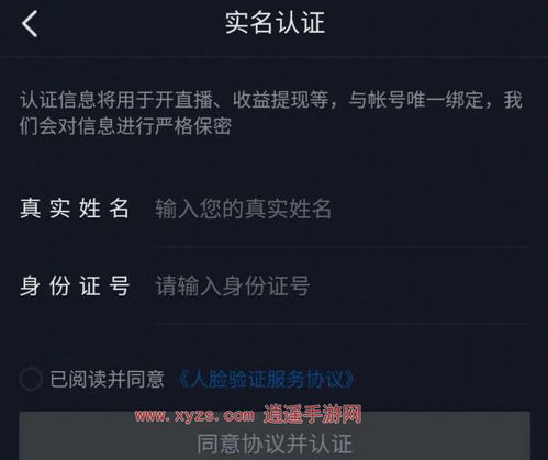 《盘点十大热门网络梗游戏，玩家必玩清单！》