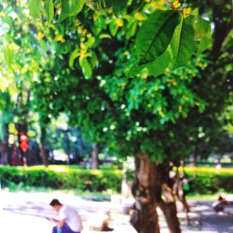 《潮灵王国速升攻略：高效升级秘籍大公开》