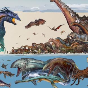 《生存游戏精选推荐：热门下载必玩》