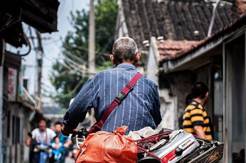 《拾荒致富秘籍：揭秘如何从废品中淘金》