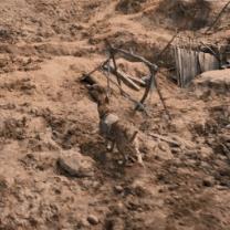 一战游戏盘点：十大热门佳作推荐