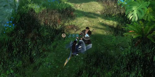 逆水寒手游悲喜神功奇遇攻略：轻松解锁奇遇秘境