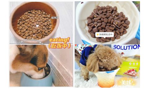 《十大耐玩纵轴游戏盘点：盘点那些让你停不下来的游戏》