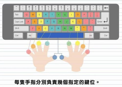 《十大热门耐玩打字游戏盘点：打字高手必看！》