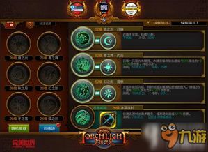 《火炬之光无限技能分类攻略：解锁最强组合》