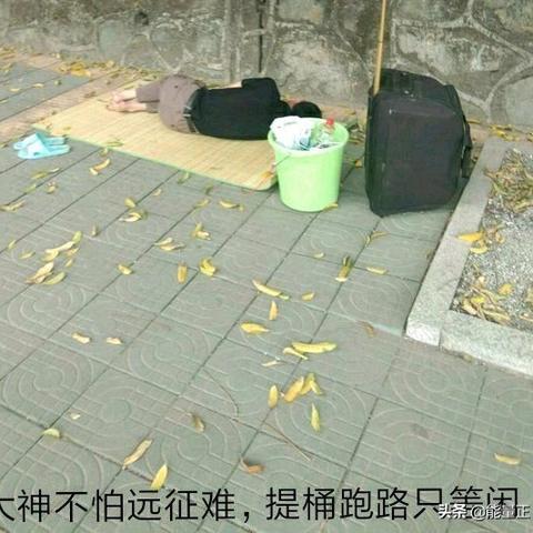 《流浪者2生存指南：高效乞讨打工攻略》