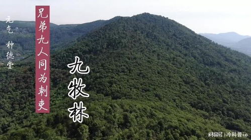 《风水宝地通关秘籍：脑洞大开攻略全解析》