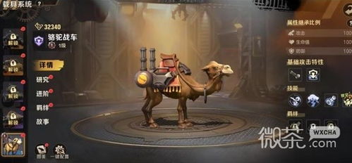 合金弹头觉醒毁灭加特林获取攻略：独家秘籍解锁！