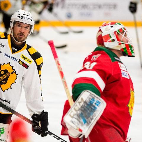 冰球游戏盘点：人气爆棚的冰球游戏推荐