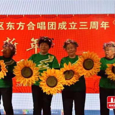 《热门器乐游戏盘点：人气爆棚的十大排行榜》