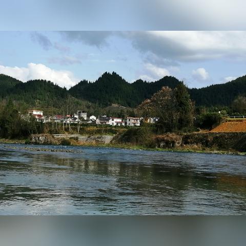 桃源深处钓鱼秘境：盘点热门钓点鱼类大全