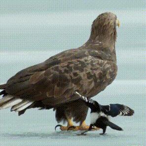 《沙雕日记山洞洗澡攻略：美女洗澡通关秘籍》