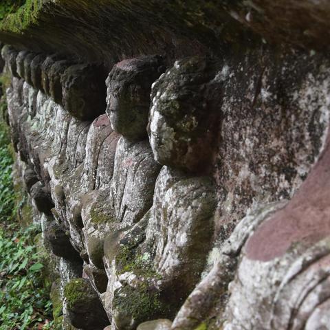 《盗神三国速通秘籍：新手快速升级攻略》