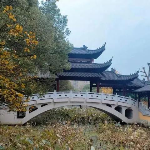 《桃源秘境探秘：深度解析旅行画册搜集攻略》