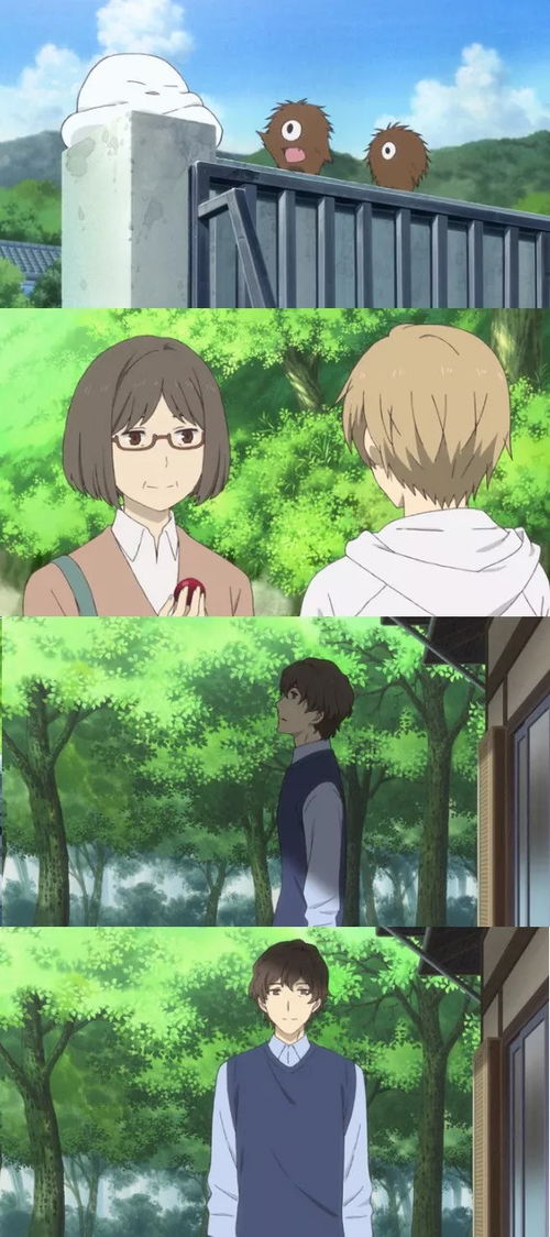 《闪亮同居攻略：好友共筑温馨家园》