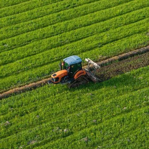 《2024年度热门种田游戏盘点：盘点必玩种田大作》
