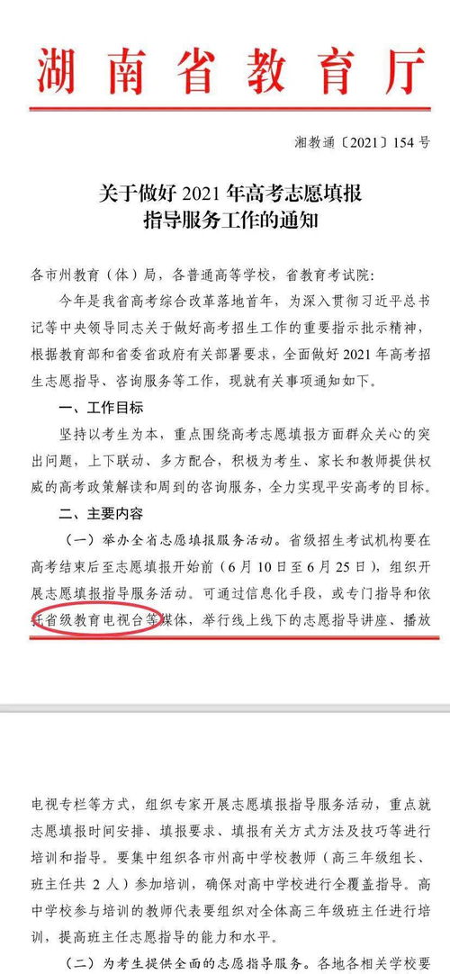 《萌新独居生存指南：新手必看攻略》