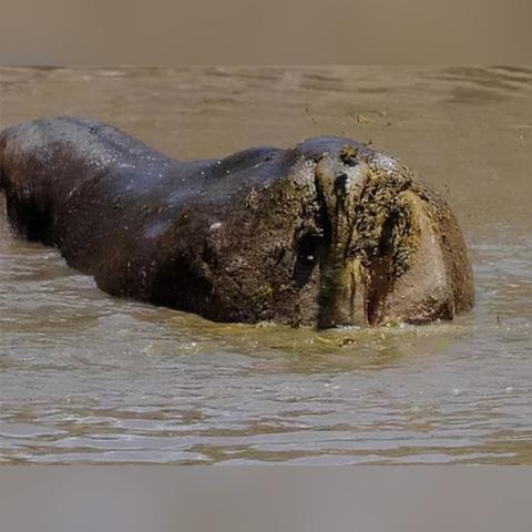 《十大永久死亡游戏排行：人气爆棚的致命游戏盘点》