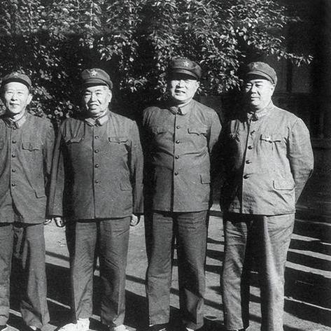 黎明觉醒路旁呼救攻略：快速解救技巧大揭秘