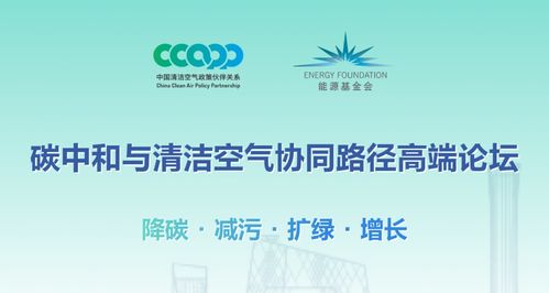 《闪亮之名清洁度提升攻略：高效方法大揭秘》