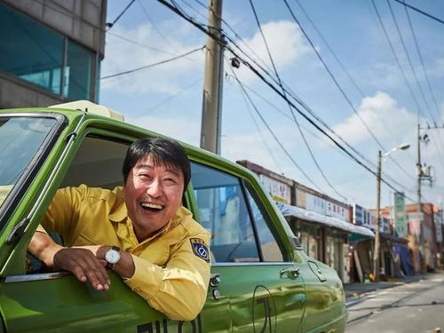 《热门猫游戏盘点：十大最受欢迎猫游戏推荐》