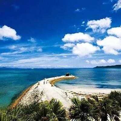 《印记流攻略：元素入侵者高效打法揭秘》