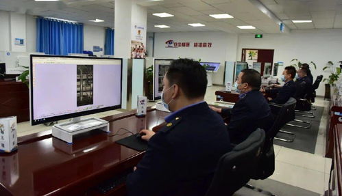 《升变3五行秘境攻略：解锁五行调和新玩法》