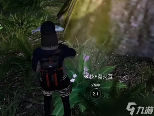 《黎明觉醒月见花高效采集攻略，快速获取指南》