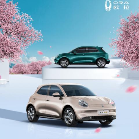 《2023热门猫游戏盘点：这些猫游戏你玩过吗？》