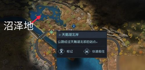 《黎明觉醒芦苇花宝藏地图揭秘！快速找到宝藏攻略》