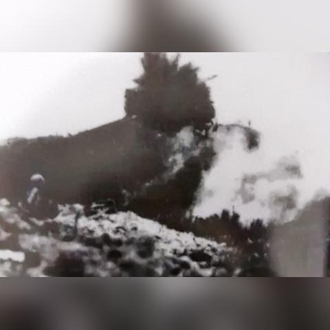 《保卫萝卜4饿龙传说50关攻略：轻松通关秘籍》