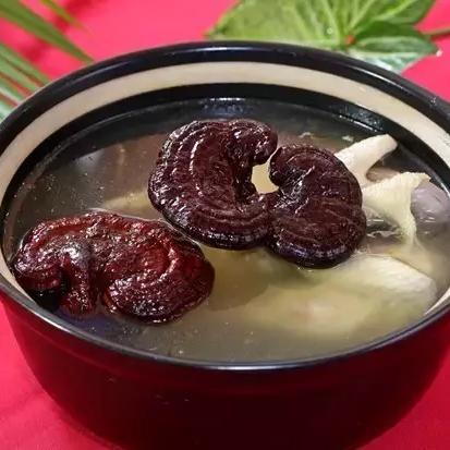 多重人生烹饪攻略：解锁独特烹饪方法大全